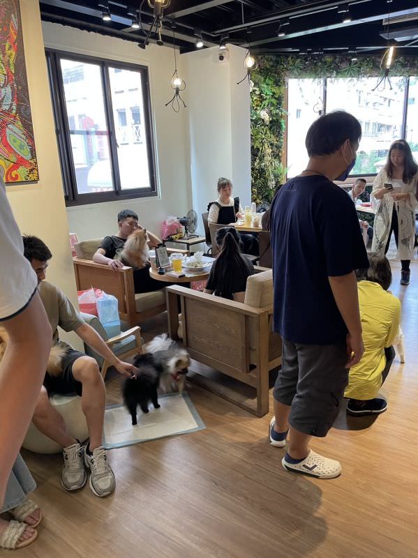 森林小徑健行店对宠物超友善