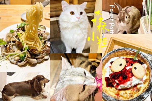 森林小徑健行店对宠物超友善